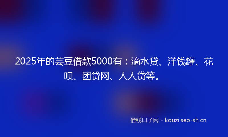 2025年的芸豆借款5000有：滴水贷、洋钱罐、花呗、团贷网、人人贷等。