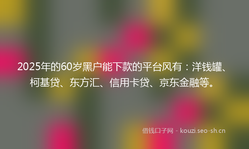 2025年的60岁黑户能下款的平台风有：洋钱罐、柯基贷、东方汇、信用卡贷、京东金融等。