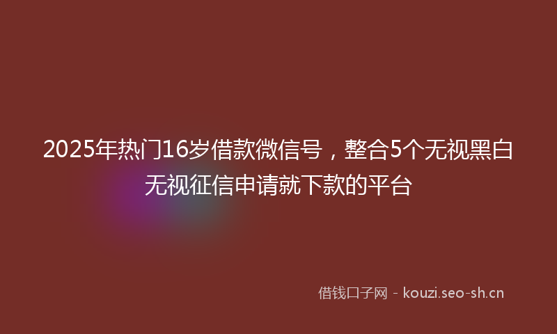 2025年热门16岁借款微信号，整合5个无视黑白无视征信申请就下款的平台