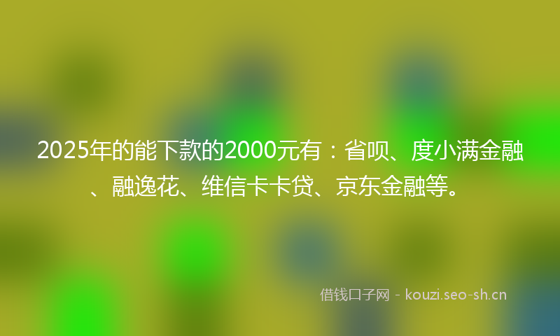 2025年的能下款的2000元有：省呗、度小满金融、融逸花、维信卡卡贷、京东金融等。