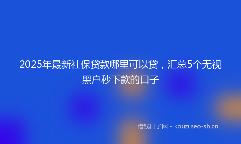 2025年最新社保贷款哪里可以贷，汇总5个无视黑户秒下款的口子