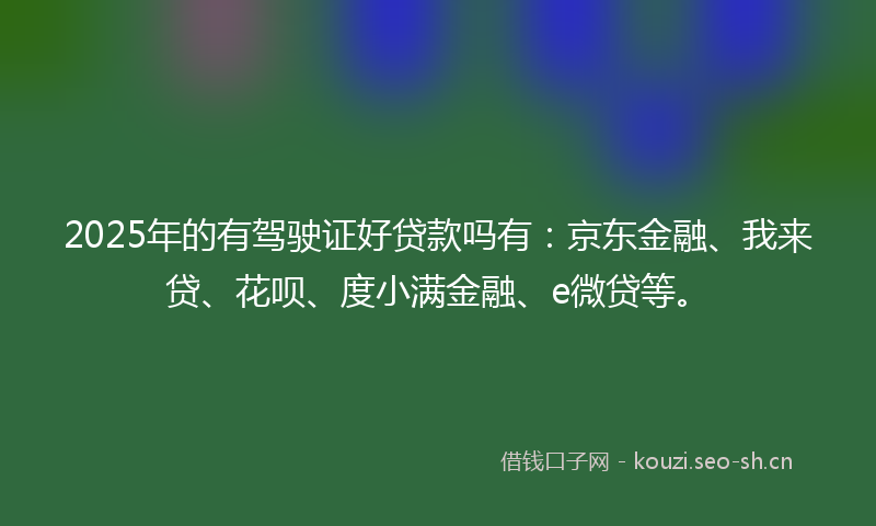 2025年的有驾驶证好贷款吗有：京东金融、我来贷、花呗、度小满金融、e微贷等。