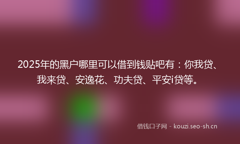 2025年的黑户哪里可以借到钱贴吧有：你我贷、我来贷、安逸花、功夫贷、平安i贷等。