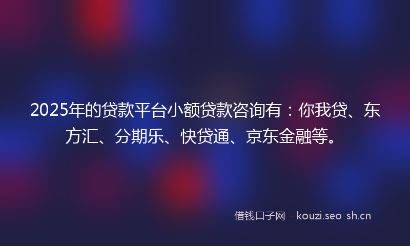 2025年的贷款平台小额贷款咨询有：你我贷、东方汇、分期乐、快贷通、京东金融等。