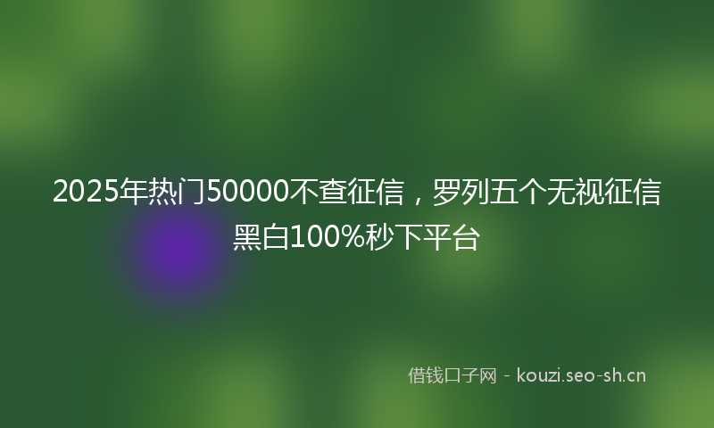 2025年热门50000不查征信，罗列五个无视征信黑白100%秒下平台