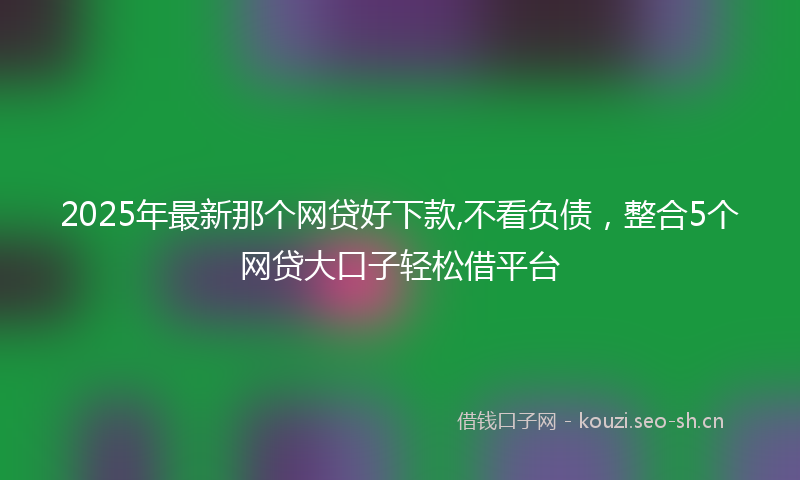 2025年最新那个网贷好下款,不看负债，整合5个网贷大口子轻松借平台