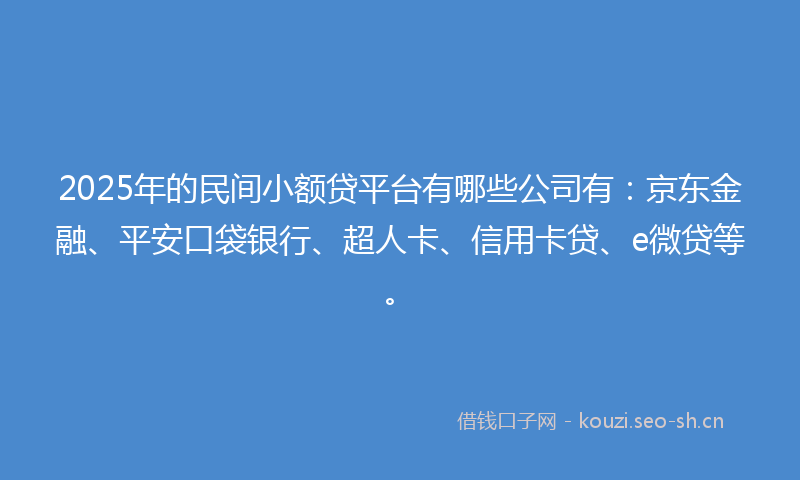 2025年的民间小额贷平台有哪些公司有：京东金融、平安口袋银行、超人卡、信用卡贷、e微贷等。