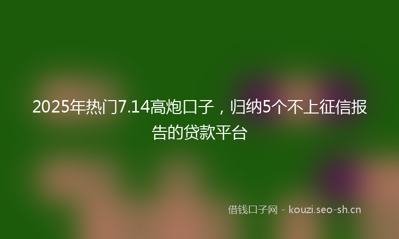 2025年热门7.14高炮口子，归纳5个不上征信报告的贷款平台