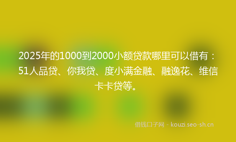 2025年的1000到2000小额贷款哪里可以借有：51人品贷、你我贷、度小满金融、融逸花、维信卡卡贷等。