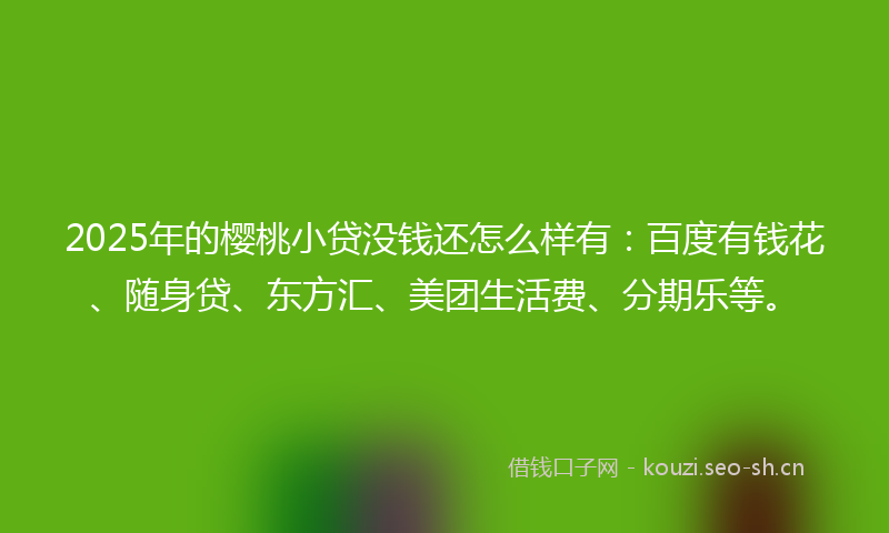 2025年的樱桃小贷没钱还怎么样有：百度有钱花、随身贷、东方汇、美团生活费、分期乐等。