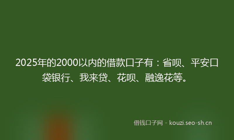 2025年的2000以内的借款口子有：省呗、平安口袋银行、我来贷、花呗、融逸花等。