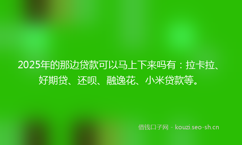 2025年的那边贷款可以马上下来吗有：拉卡拉、好期贷、还呗、融逸花、小米贷款等。