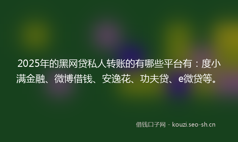 2025年的黑网贷私人转账的有哪些平台有：度小满金融、微博借钱、安逸花、功夫贷、e微贷等。