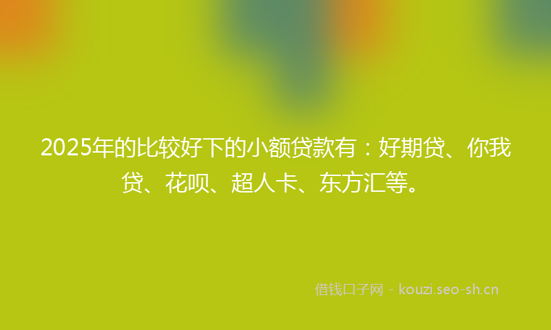 2025年的比较好下的小额贷款有：好期贷、你我贷、花呗、超人卡、东方汇等。