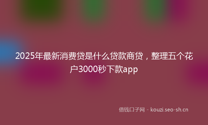 2025年最新消费贷是什么贷款商贷，整理五个花户3000秒下款app