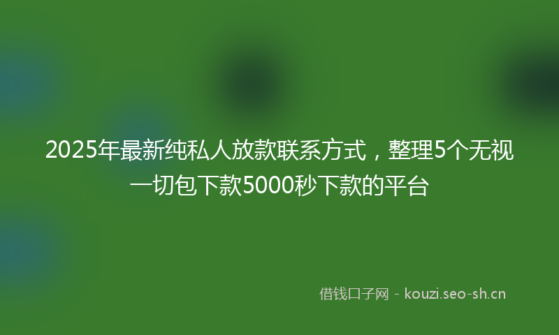 2025年最新纯私人放款联系方式，整理5个无视一切包下款5000秒下款的平台