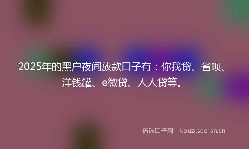 2025年的黑户夜间放款口子有：你我贷、省呗、洋钱罐、e微贷、人人贷等。