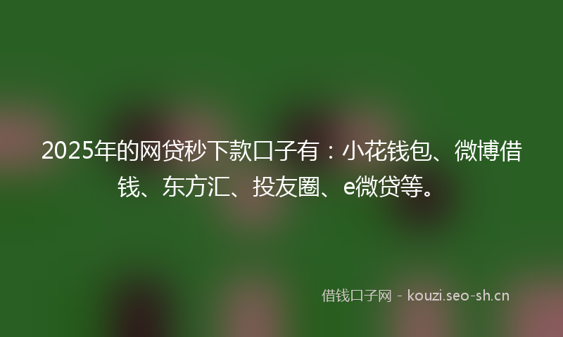 2025年的网贷秒下款口子有：小花钱包、微博借钱、东方汇、投友圈、e微贷等。