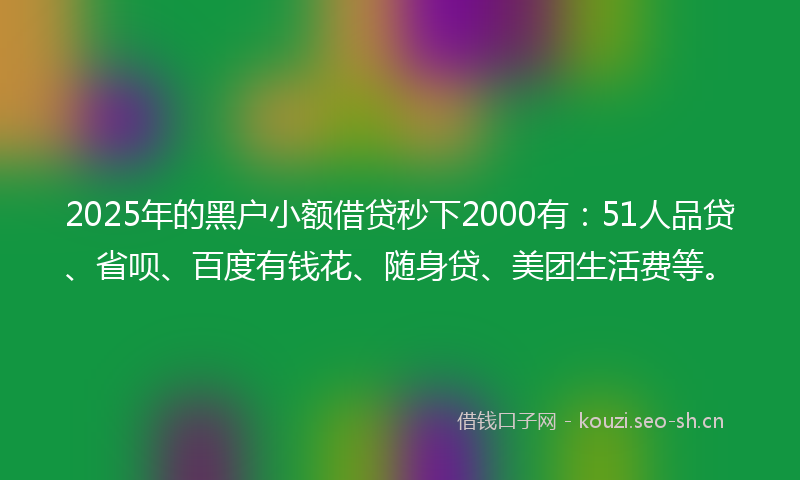 2025年的黑户小额借贷秒下2000有：51人品贷、省呗、百度有钱花、随身贷、美团生活费等。