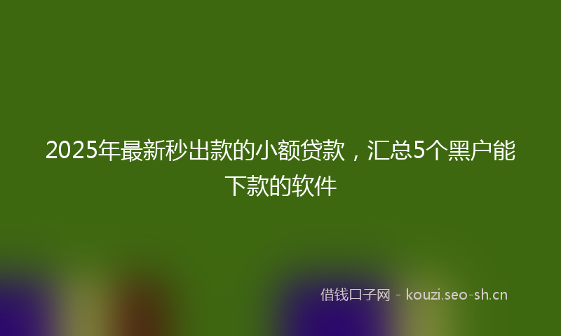 2025年最新秒出款的小额贷款，汇总5个黑户能下款的软件