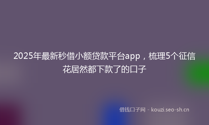 2025年最新秒借小额贷款平台app，梳理5个征信花居然都下款了的口子