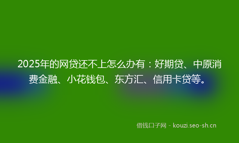 2025年的网贷还不上怎么办有：好期贷、中原消费金融、小花钱包、东方汇、信用卡贷等。