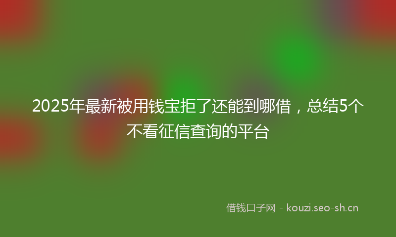 2025年最新被用钱宝拒了还能到哪借，总结5个不看征信查询的平台
