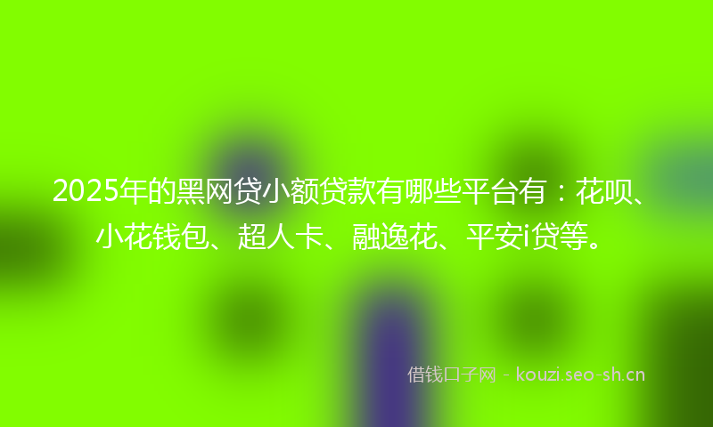 2025年的黑网贷小额贷款有哪些平台有：花呗、小花钱包、超人卡、融逸花、平安i贷等。