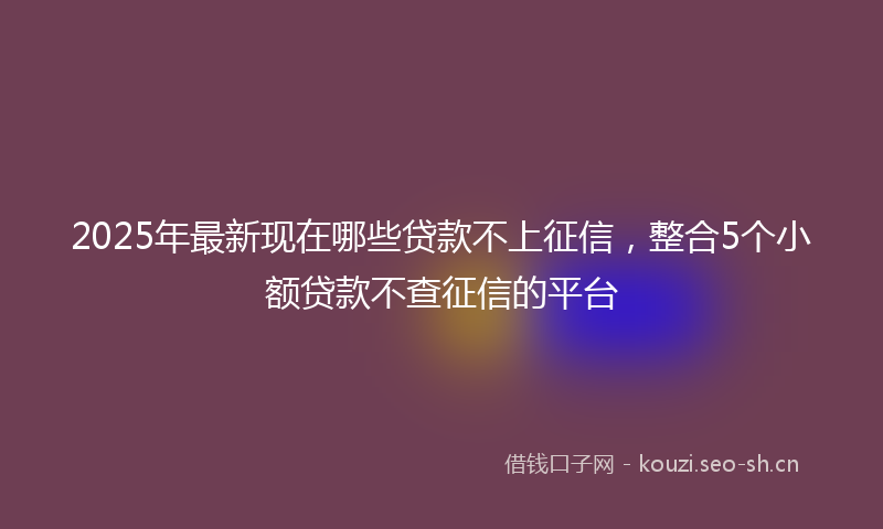 2025年最新现在哪些贷款不上征信，整合5个小额贷款不查征信的平台