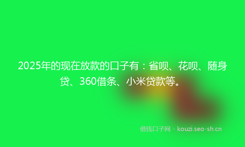 2025年的现在放款的口子有：省呗、花呗、随身贷、360借条、小米贷款等。