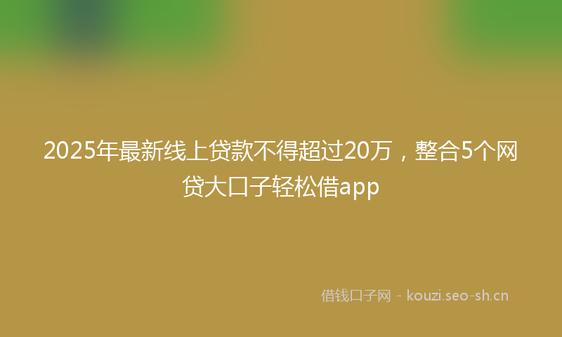 2025年最新线上贷款不得超过20万，整合5个网贷大口子轻松借app