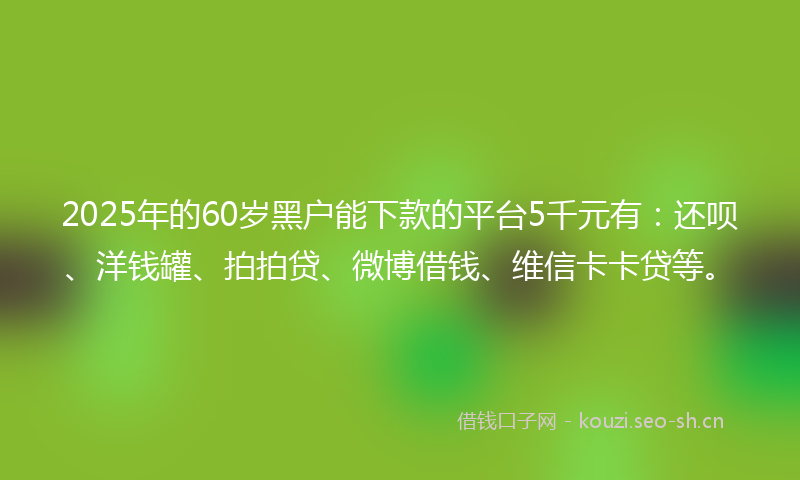 2025年的60岁黑户能下款的平台5千元有：还呗、洋钱罐、拍拍贷、微博借钱、维信卡卡贷等。