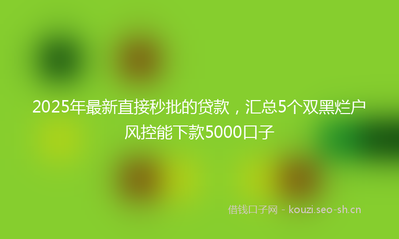 2025年最新直接秒批的贷款，汇总5个双黑烂户风控能下款5000口子