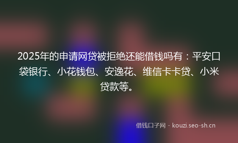 2025年的申请网贷被拒绝还能借钱吗有：平安口袋银行、小花钱包、安逸花、维信卡卡贷、小米贷款等。