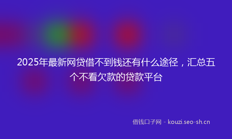 2025年最新网贷借不到钱还有什么途径，汇总五个不看欠款的贷款平台