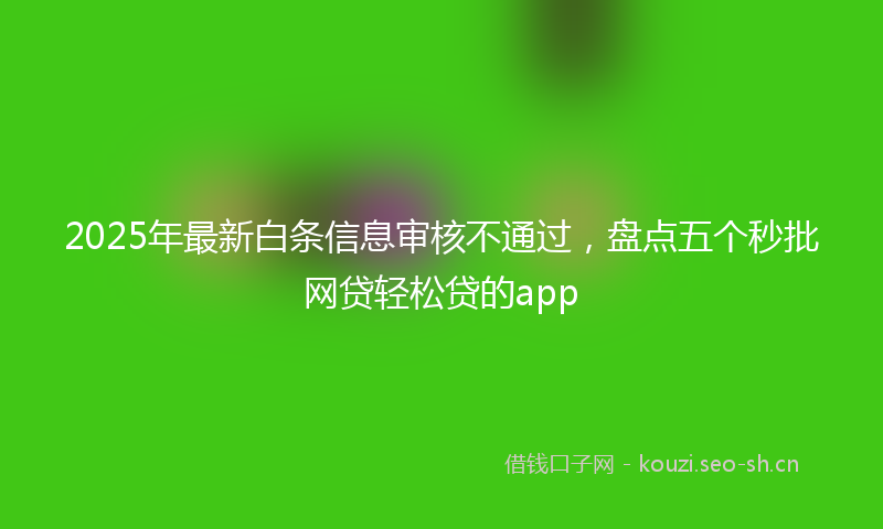 2025年最新白条信息审核不通过，盘点五个秒批网贷轻松贷的app