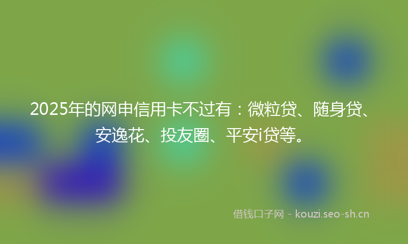 2025年的网申信用卡不过有：微粒贷、随身贷、安逸花、投友圈、平安i贷等。