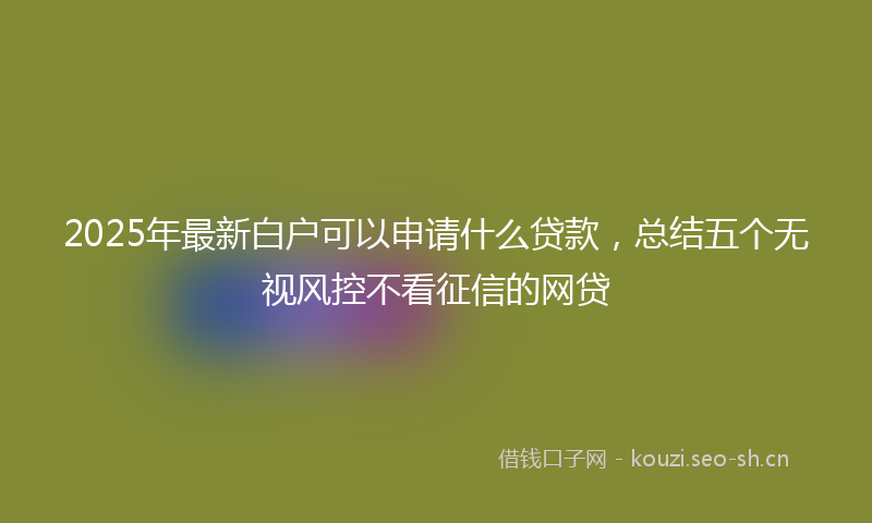 2025年最新白户可以申请什么贷款，总结五个无视风控不看征信的网贷