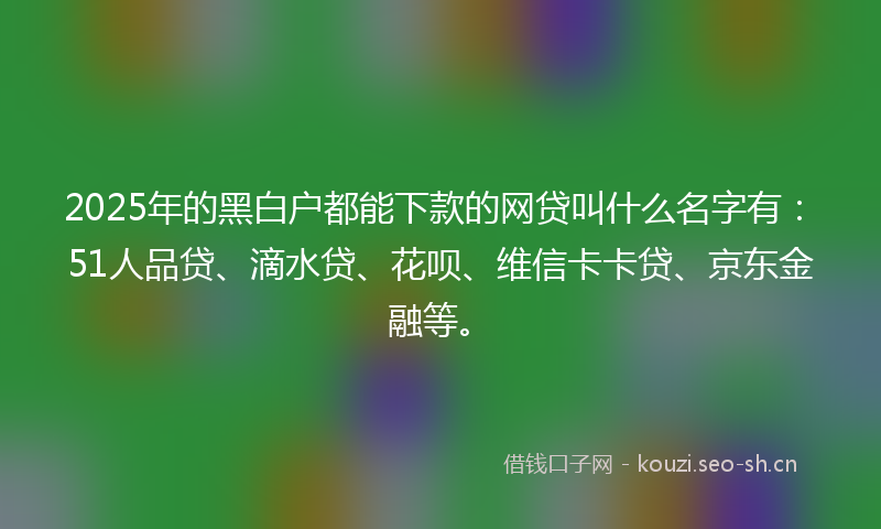 2025年的黑白户都能下款的网贷叫什么名字有：51人品贷、滴水贷、花呗、维信卡卡贷、京东金融等。