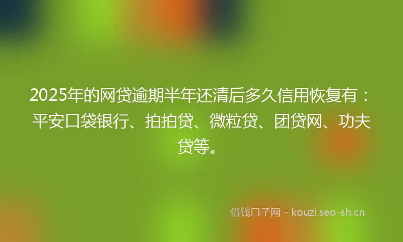 2025年的网贷逾期半年还清后多久信用恢复有：平安口袋银行、拍拍贷、微粒贷、团贷网、功夫贷等。