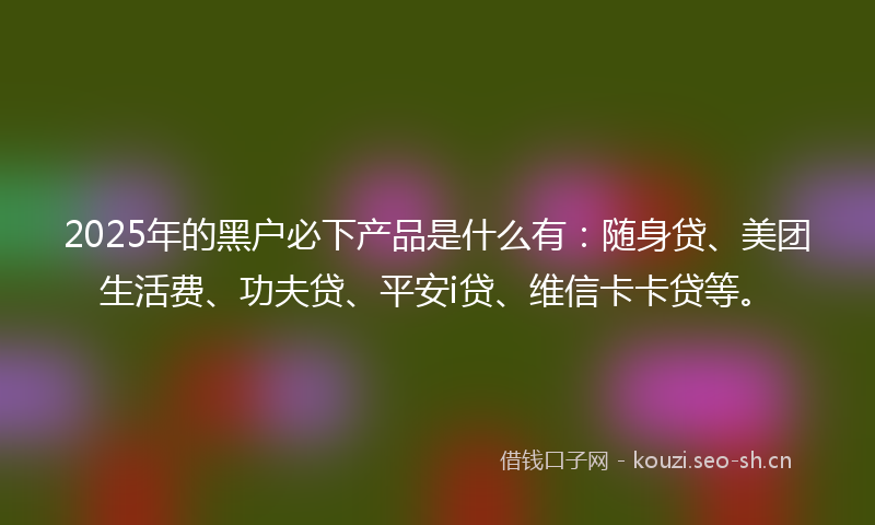 2025年的黑户必下产品是什么有：随身贷、美团生活费、功夫贷、平安i贷、维信卡卡贷等。