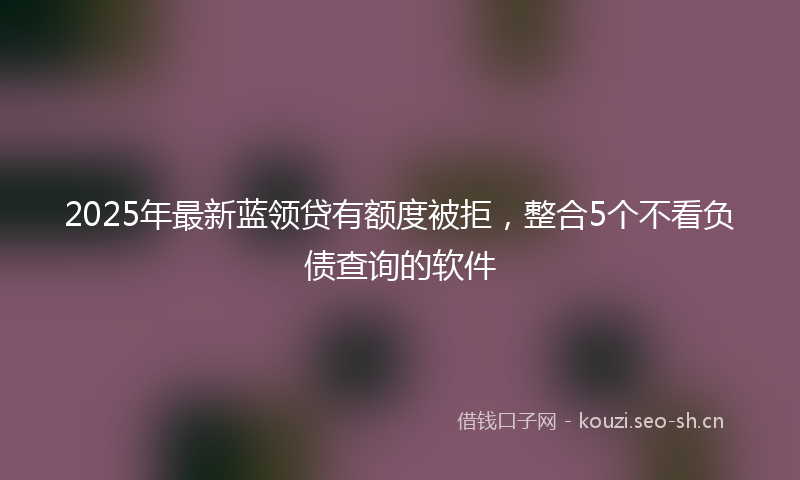 2025年最新蓝领贷有额度被拒，整合5个不看负债查询的软件