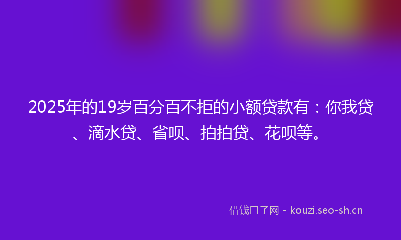 2025年的19岁百分百不拒的小额贷款有：你我贷、滴水贷、省呗、拍拍贷、花呗等。