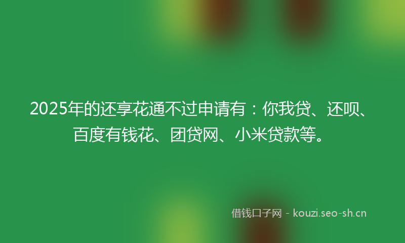 2025年的还享花通不过申请有：你我贷、还呗、百度有钱花、团贷网、小米贷款等。