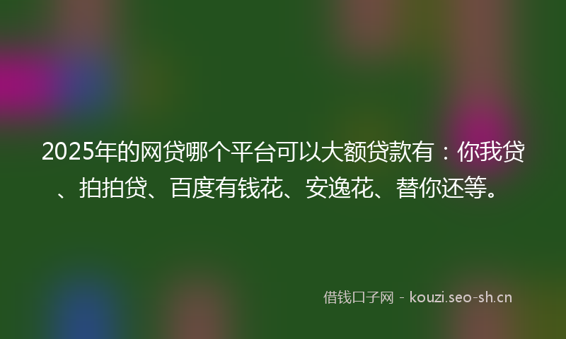 2025年的网贷哪个平台可以大额贷款有：你我贷、拍拍贷、百度有钱花、安逸花、替你还等。