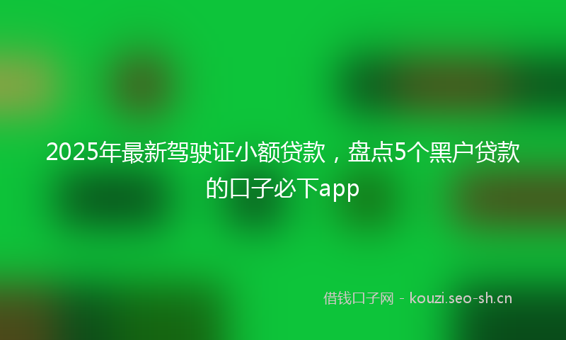 2025年最新驾驶证小额贷款，盘点5个黑户贷款的口子必下app