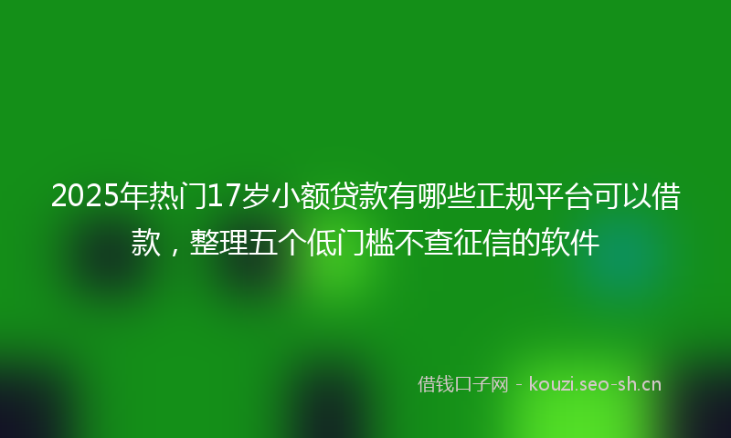 2025年热门17岁小额贷款有哪些正规平台可以借款，整理五个低门槛不查征信的软件