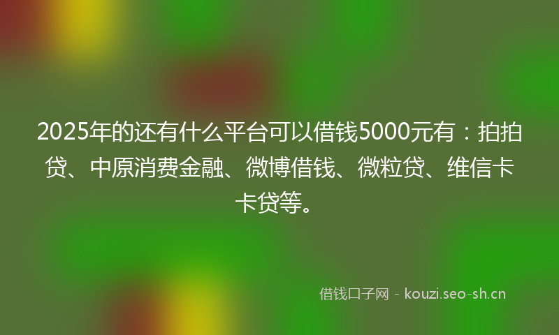 2025年的还有什么平台可以借钱5000元有：拍拍贷、中原消费金融、微博借钱、微粒贷、维信卡卡贷等。