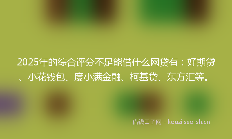 2025年的综合评分不足能借什么网贷有：好期贷、小花钱包、度小满金融、柯基贷、东方汇等。