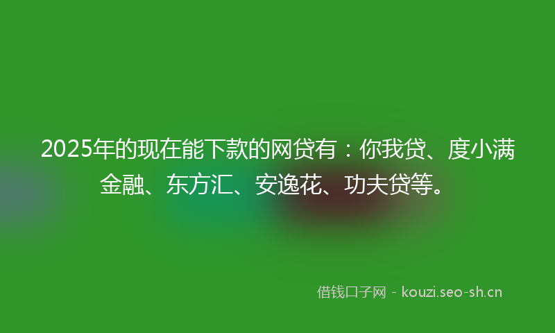 2025年的现在能下款的网贷有：你我贷、度小满金融、东方汇、安逸花、功夫贷等。